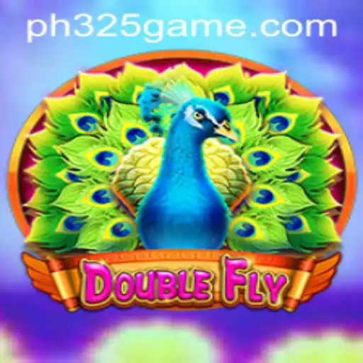 DoubleFly: The Innovative Game Revolutionizing Interactive Play